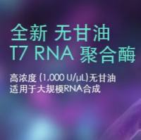 无甘油T7 RNA聚合酶，1000U/uL, MDX201