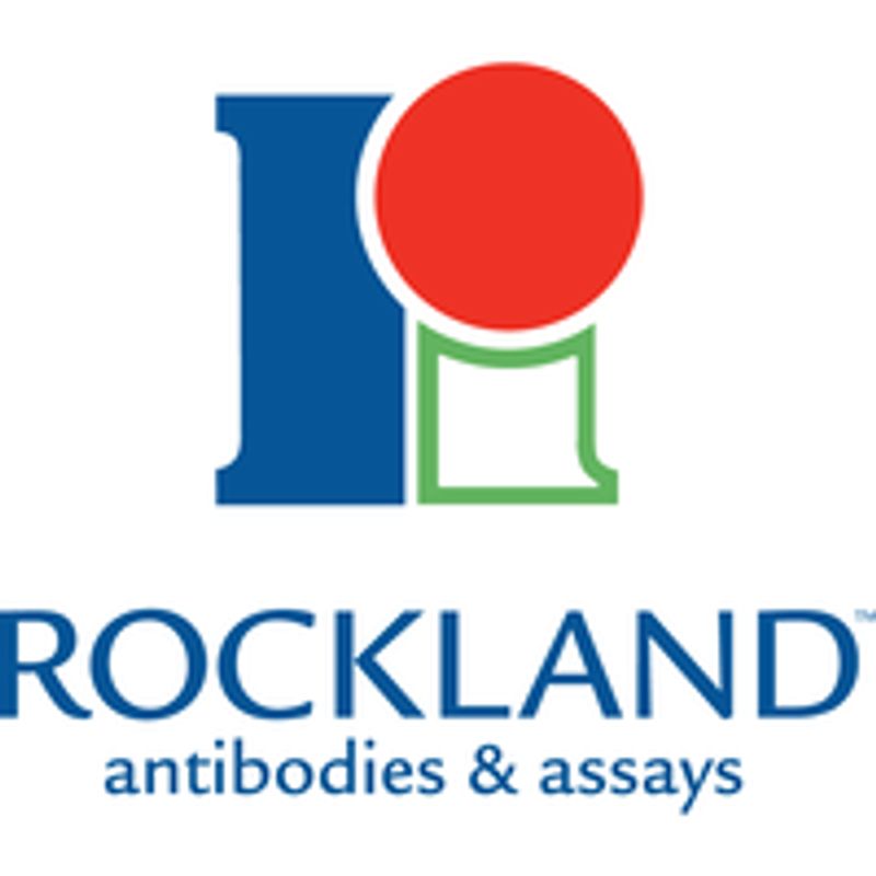 Rockland 611-1322 Anti-RABBIT IgG (H&L) (GOAT) Antibody Peroxidase Conjugated (Min X Human Serum Proteins) 2mg 