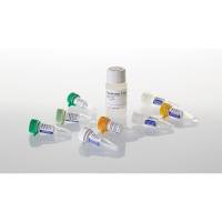 promega A5001 GoScript™逆转录酶 100reactions