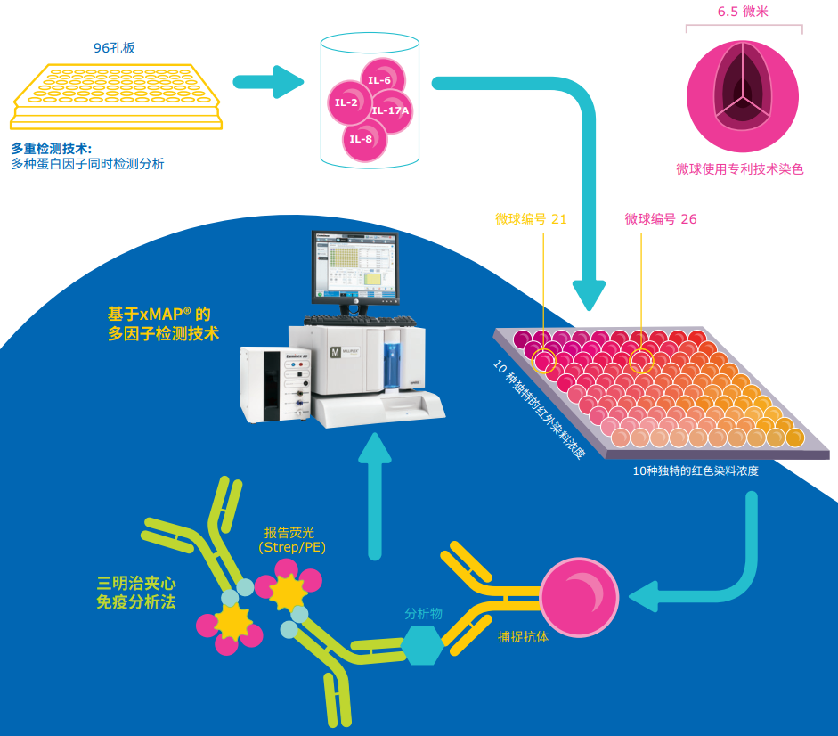 细胞因子 | 是敌人还是朋友？