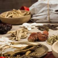 人参皂苷检测_中药成分检测_中药成分检测机构