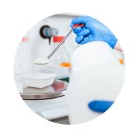 Serumwerk Bernburg AG 7828 Polysucrose400 20kg