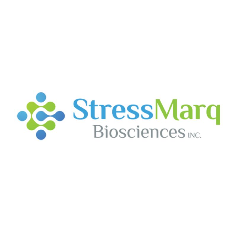 Stressmarq SPR-324E小鼠重组α突触核蛋白预成型原纤维（1型） 