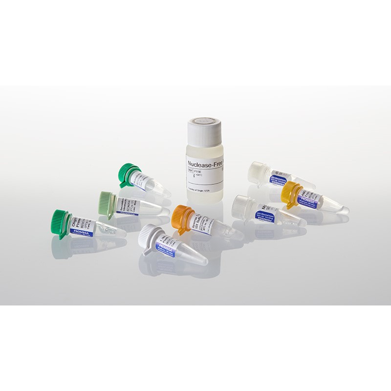 promega A5001 GoScript™逆转录酶 10