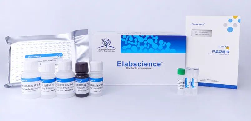 Elabscience7月大促|清凉E夏,ELISA超值买赠,凝胶磁珠类爆款7折!