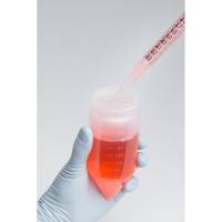 Thermo Scientific 376814 250mL锥形离心瓶