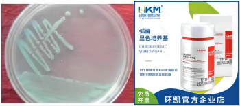 常见微生物菌落形态图及比较