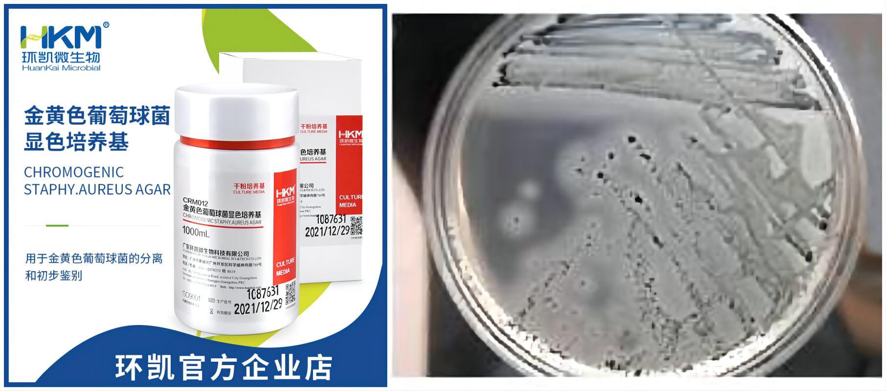 常见微生物菌落形态图及比较