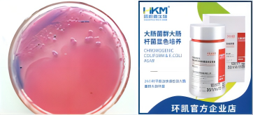 常见微生物菌落形态图及比较