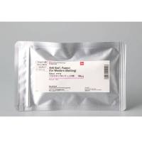 WAKO和光纯药016-20001小胶质细胞/巨噬细胞特异性蛋白抗体(免疫印迹)50ug