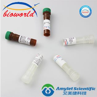 琥珀酸脱氢酶微孔板检测试剂盒|Succinate Dehydrogenase Microplate Assay Kit