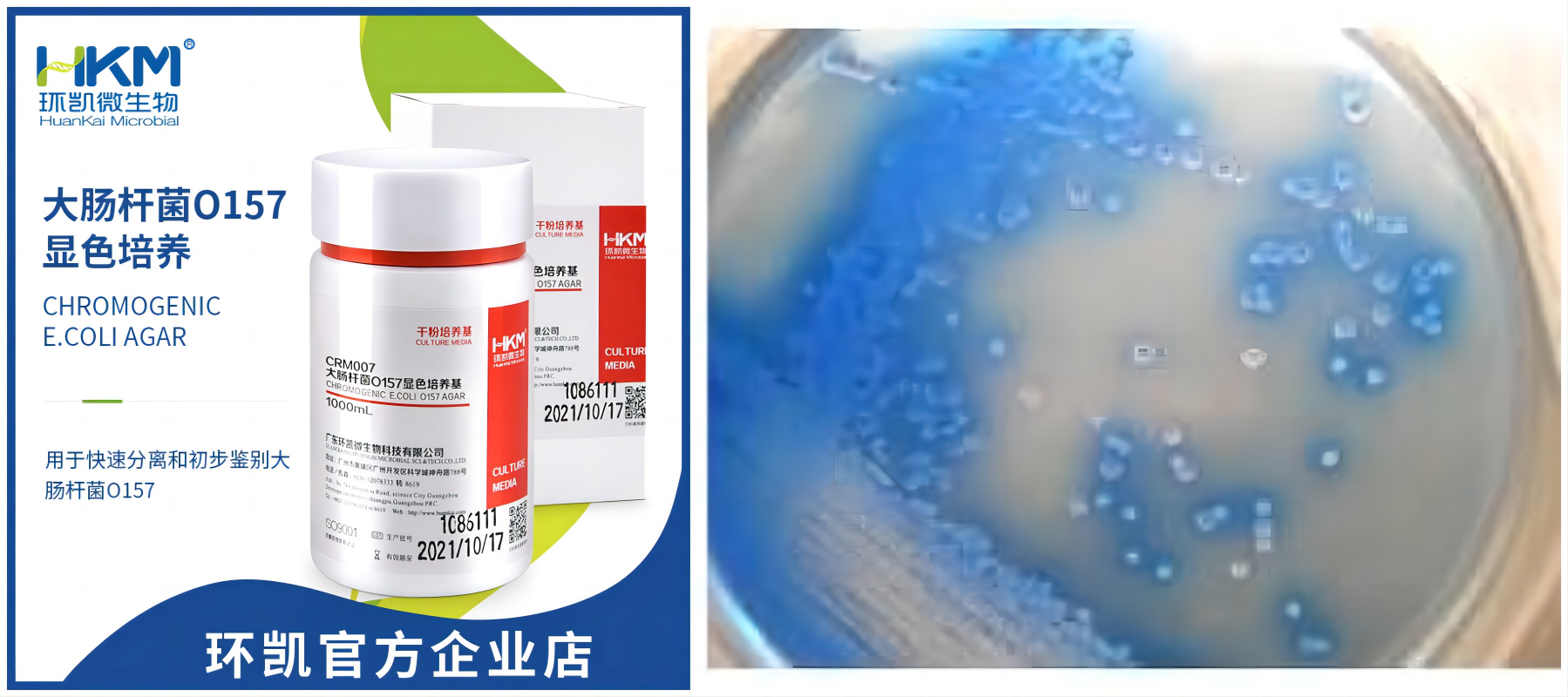 常见微生物菌落形态图及比较