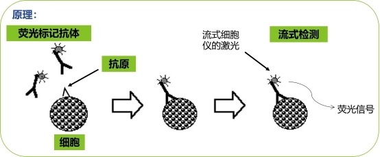 基础提炼 ▎手牵手，好朋友，流式路上共前进