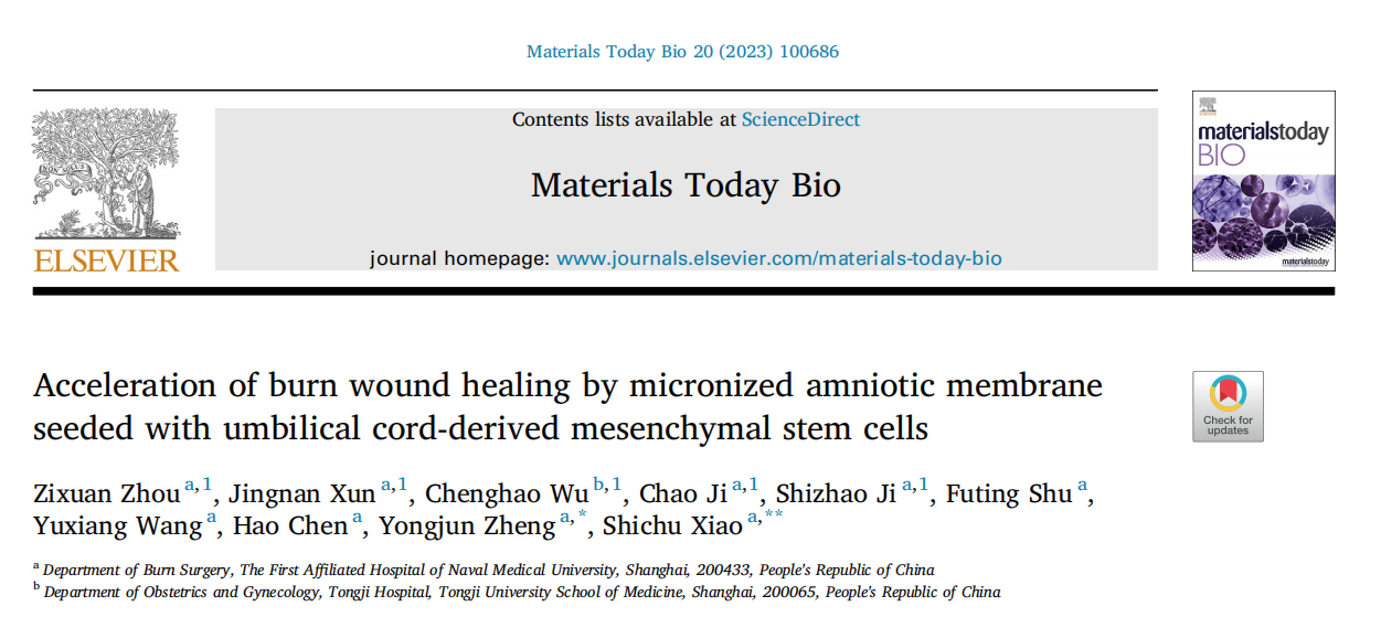 小动物活体成像系统在间充质干细胞加速烧伤创口愈合方面的应用