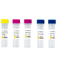 NIFK Rabbit Polyclonal Antibody