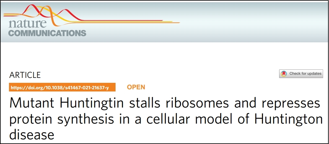 翻译组学技术应用|亨廷顿氏病中蛋白合成减慢的机制研究