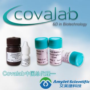 特异性角质细胞转谷氨酰胺酶（Tgase-1）比色微量测定试剂盒：TG1-CovTest|Specific Keratinocyte Transglutaminase (Tgase-1) Colorimetric Microassay Kit : TG1-CovTest