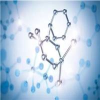 Recombinant Mouse Legumain