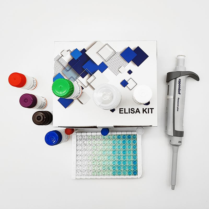Rat CCL16/HCC-4 ELISA Kit