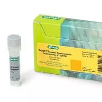 用于 RT-qPCR 的 iScript™ 逆转录预混液
