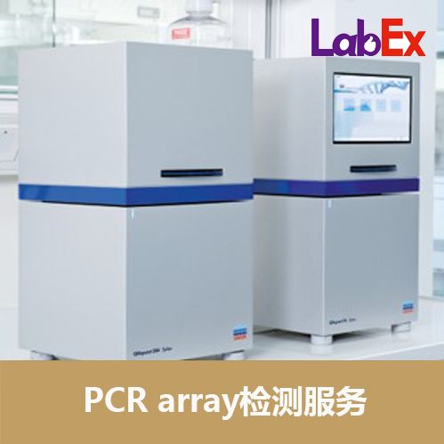 PCR array代检测  人自噬作用 PCR Array Panel