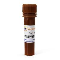 CFDA SE (细胞增殖示踪荧光探针)