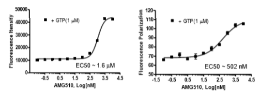 KRAS抑制剂筛选---核苷酸交换法