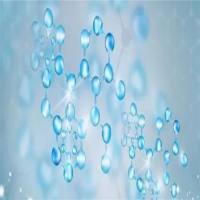 Recombinant Rat Cyclophilin A