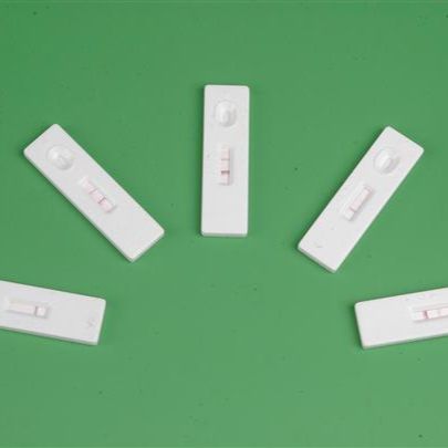 非洲锥虫检测试剂盒