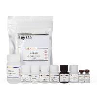 Human IL-1β ELISA Kit