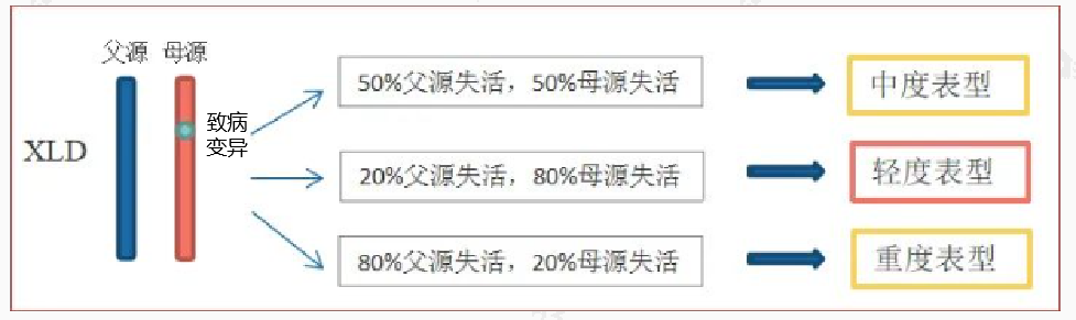 「我和妈妈基因一样，为什么妈妈健康而我患病？」