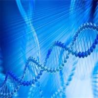 Recombinant Mouse SCDGFB