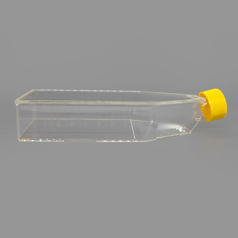 BeyoGold™ 175cm2透气盖细胞培养瓶