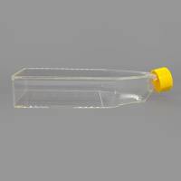 BeyoGold™ 175cm2透气盖细胞培养瓶