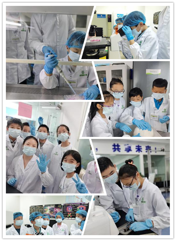 探生命之光· 赴科研之约 | 威斯腾前沿生物转化研究院首期生命科学研学夏令营成功举办