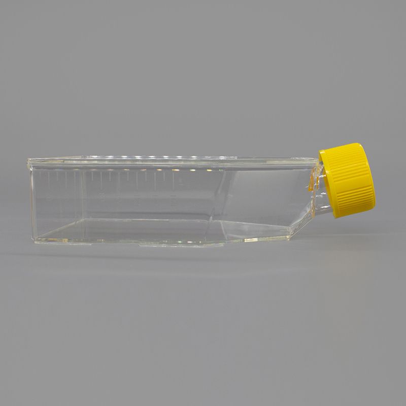 BeyoGold™ 75cm2密封盖细胞培养瓶