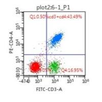 流式检测表面抗原