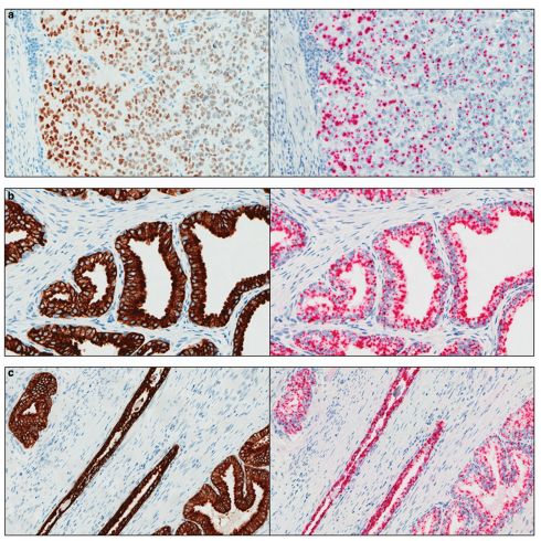 产品封面图