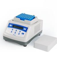 LabMate Pro 恒温金属浴(GT21601)