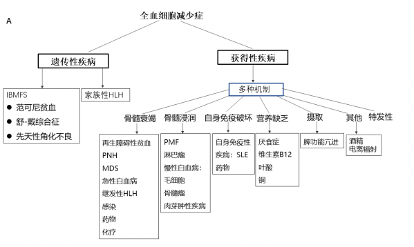 全血细胞减少