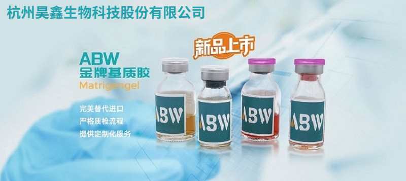 为什么说肠道研究最佳模型是类器官？杭州昊鑫生物