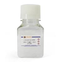 L-Glutamine (100X)