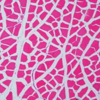 病理常规HE染色实验服务