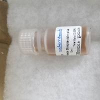 Ademtech磁珠300nm Streptavidin PLUS functionality better stability 0.5%