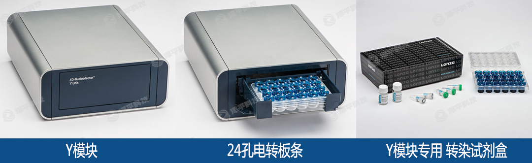 Lonza 4D-Nucleofector Y模块细胞核转染试剂盒
