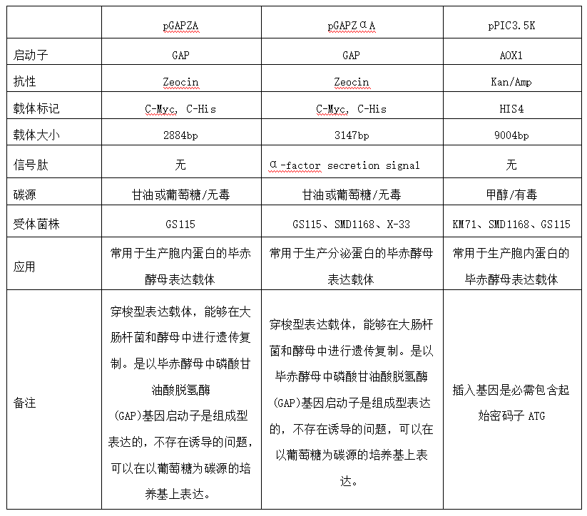酵母表达载体介绍