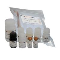 Mouse IL-11 ELISA Kit