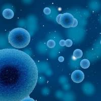 腺相关病毒(AAV)包装服务定制