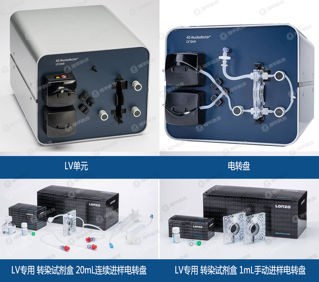 Lonza 4D-Nucleofector LV模块细胞核转染试剂盒
