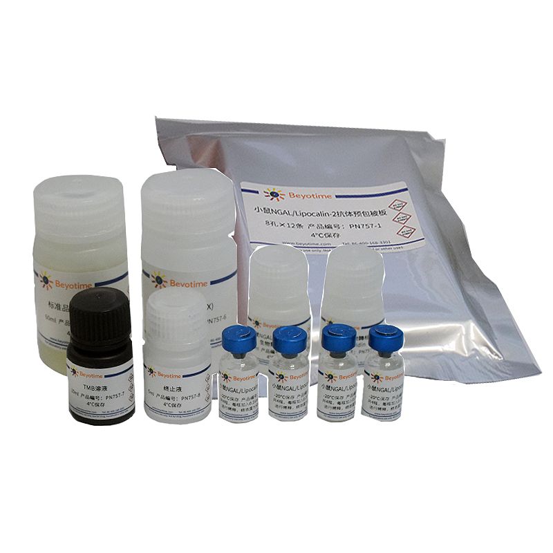 Mouse NGAL/Lipocalin-2 ELISA Kit